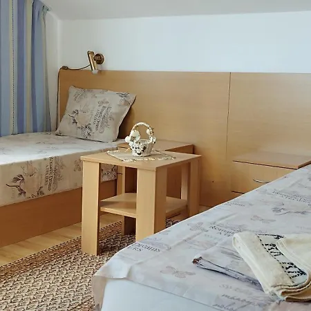 招待所 Anchors 索佐波尔